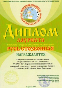Токмаковский фестиваль (2)