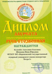 Токмаковский фестиваль (3)